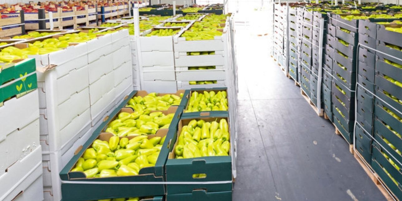 The Importance of Cold Storage Solutions For Food Service Establishments 