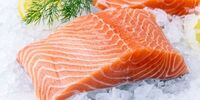Storing Salmon Right: How to Increase Salmon Shelf Life