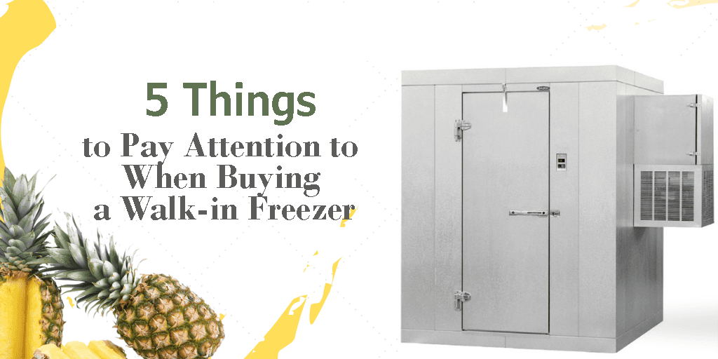 5 Things to Pay Attention to When Buying a Walk-in Freezer