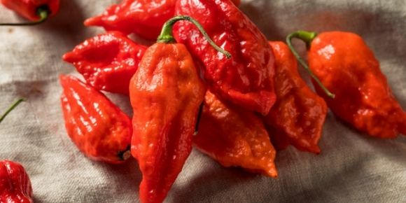 Too Hot To Handle: What To Do With Ghost Peppers