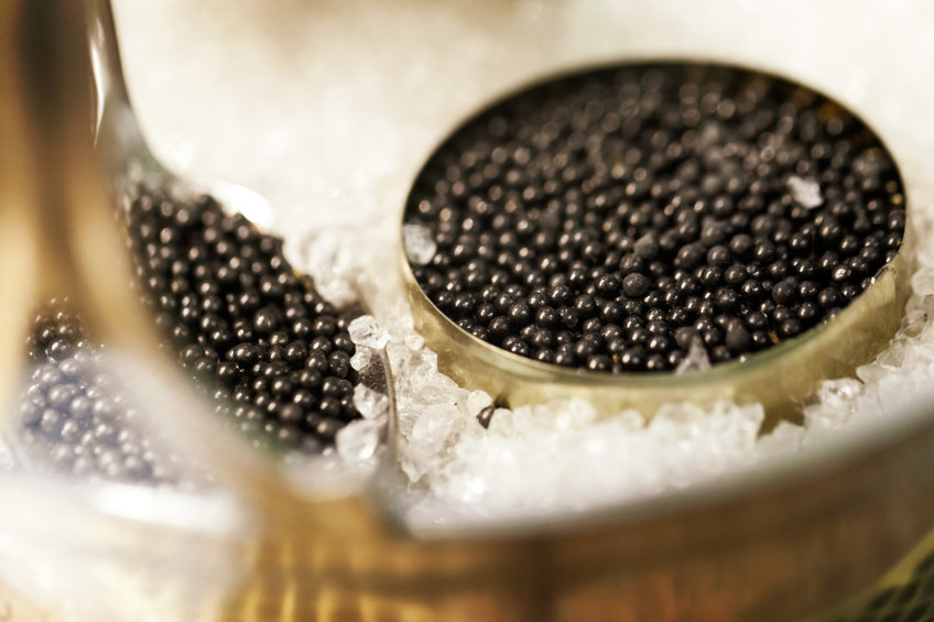 caviar storage