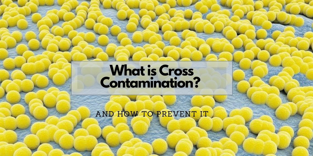 what is cross contamination