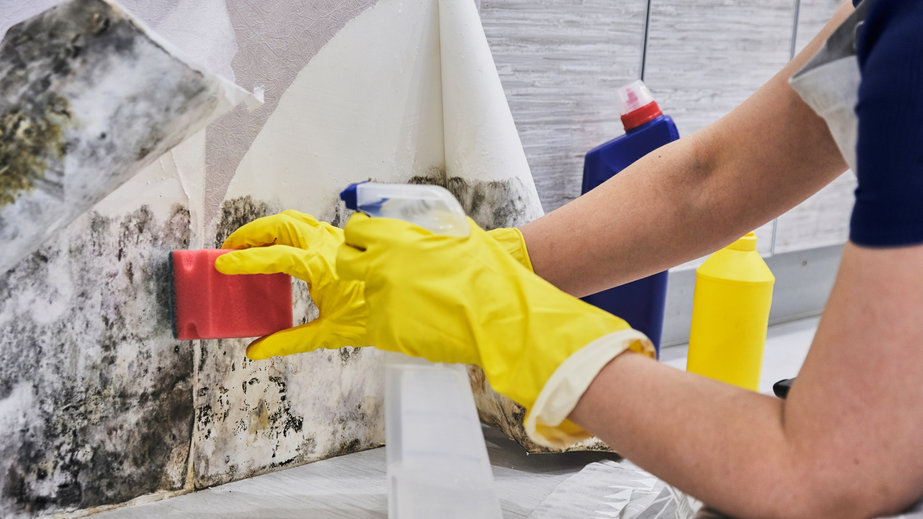 How to Stop Mold Growth in your Walk-in Freezer - Kitchen Services